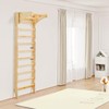 VEVOR Swedish Ladder Wall Gym, 2-in-1 10-Level Indoor Jungle Gym,