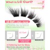 Fox Eye Eyelash Clusters Natural Volume Lashes Clusters Cat Eye