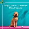 PAW By Blackmores Coat, Skin + Nails (For Dogs approx