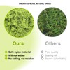 MaNeaz 60 g Moss for Crafts Artificial Moss Moss Craft