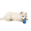 Funky Planet A Large Set of Durable Toys for Dogs