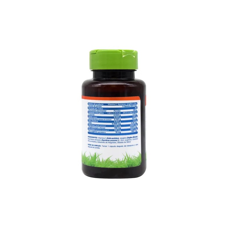 Vitamina C Equinácea Jengibre Y Zinc 60 Cápsulas Vidanat