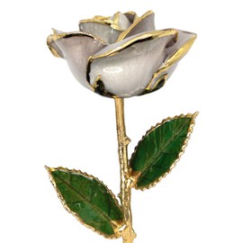 Pearl White 24k Gold Rose - Real Rose Dipped in Gold