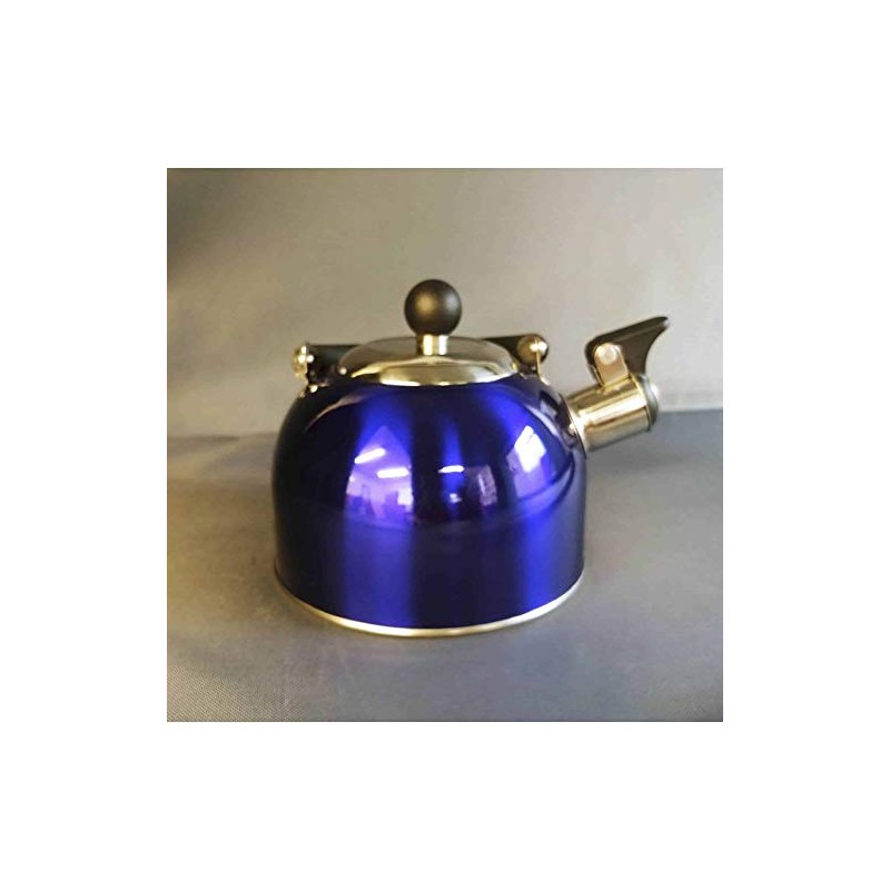 Blue 1.6 Litre Gas Hob Kettle with Folding Handle Caravan