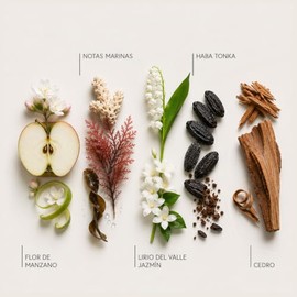 Aromatizante para Hogar | Atomizador de 250ml | Aroma PALACIO Espacios | CASA TAVINHO | Para Casa y Oficina | Eliminador de Olores | Aromatizante de A