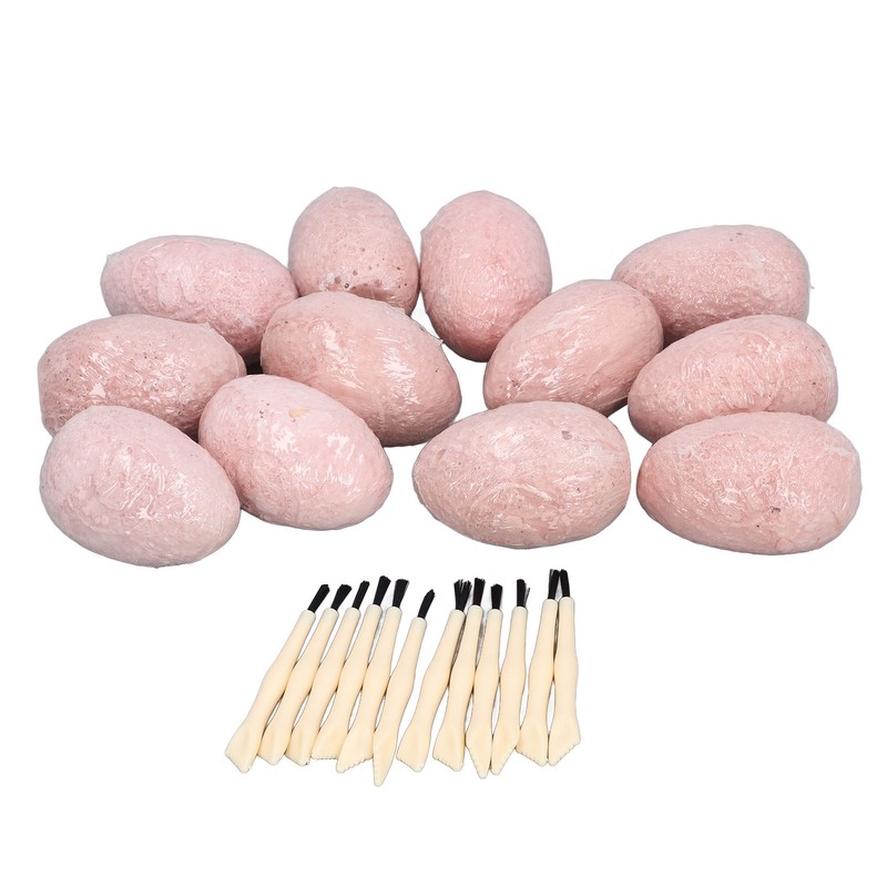 12 Set Dinosaur Egg Dig Kit Dinosaur Egg Excavation Kit