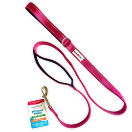 Giving Paws - 5 Ft Heavy Duty Reflective Nylon Dog Leash with Padded Traffic Handle – 20% of Profits Donated to Animal Rescue -1" Leash for Medium and Large Dogs - Pink