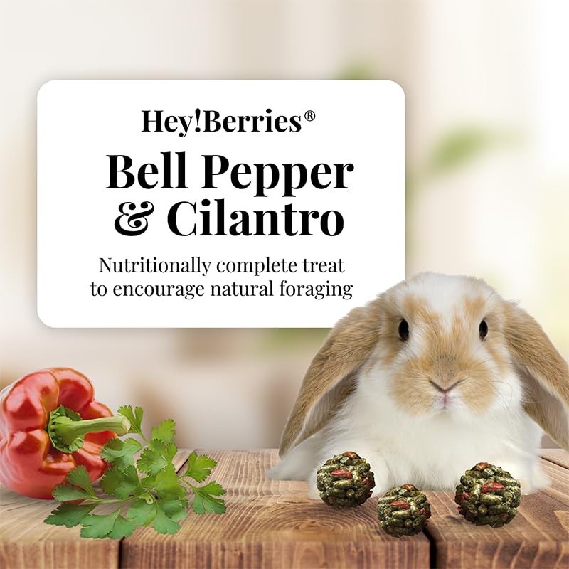 LAFEBER'S Hey!Berries for Rabbits 5 oz (Bell Pepper and Cilantro)