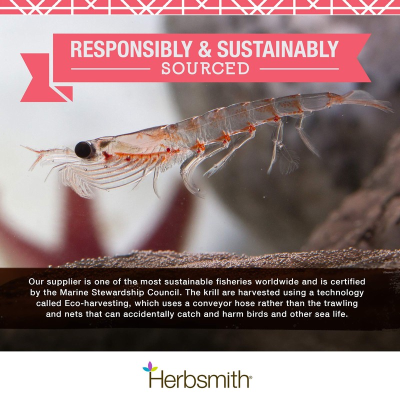 Herbsmith Pure Krill - Wild-Caught Antarctic Krill - Just 1