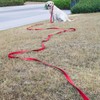 20FT Long Dog Leash with 2 Comfortable Soft Padded Handles