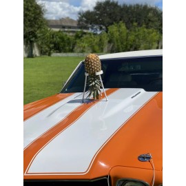 Kitchen Companion Pineapple ripening stand! (Black)