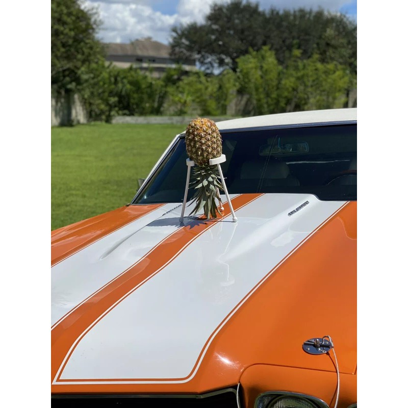 Kitchen Companion Pineapple ripening stand! (Black)