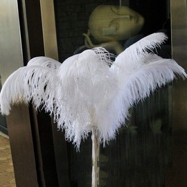 20pcs Natural Ostrich Feathers Plume 10-12inch(25-30cm) for Wedding Centerpieces Home Decoration (Black)