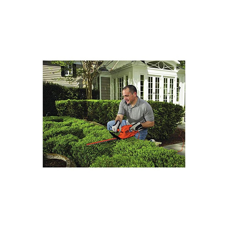 Black & Decker TR116 3-Amp Hedge Trimmer, 16-Inch