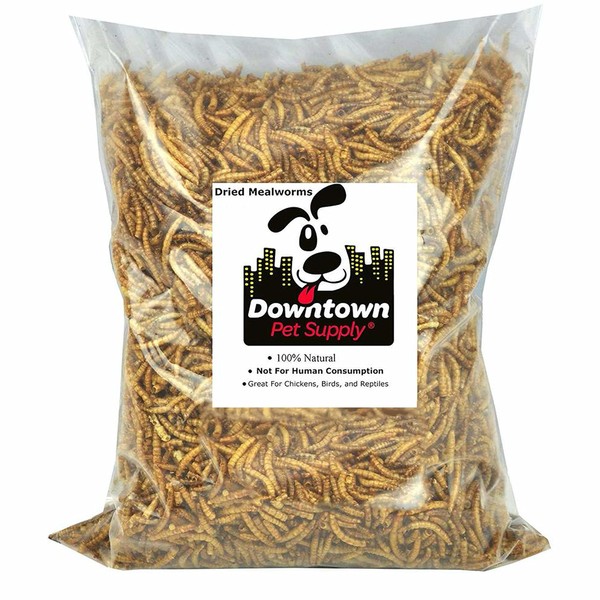 Downtown Pet Supply 1/2 LB Dried Mealworms for Wild Birds, Poultry, Reptiles, and Small Mammals Rich in Vitamin B12, B5, Protein, Fiber, Omega 3 Fatty Acids - Great as Mealworms for Chicken