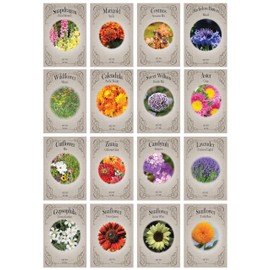 Set of 200 Assorted Flower Seed Packets! Flower Seeds in Bulk - 20+ Varieties Available!