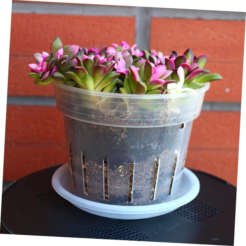 Kisangel 9pcs Orchid Pots Use Breathable Design Drainage Holes for
