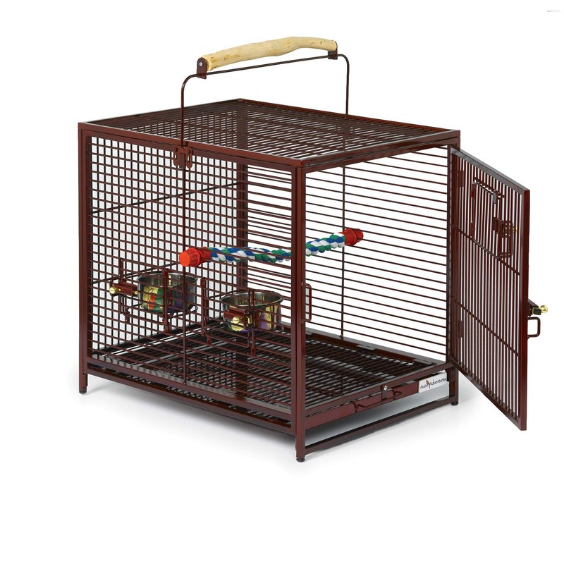 MidWest Homes for Pets Avian Adventures Poquito Avian Hotel, Ruby