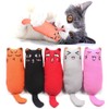 YuCool 5 Pcs Catnip Toys for Indoor Interactive Cat Chew