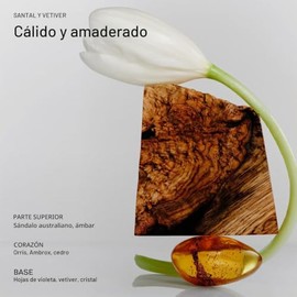 Salt & Stone- Crema de manos para mujeres y hombres | Santal y vetiver | Hidrata, nutre y suaviza la piel | Restaura la piel seca