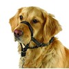 Kerbl Pet Trainings- und Erziehungsgeschirr Maxi Coach, schwarz, < 24