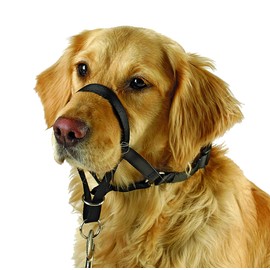 Kerbl Pet Trainings- und Erziehungsgeschirr Maxi Coach, schwarz, < 24 cm
