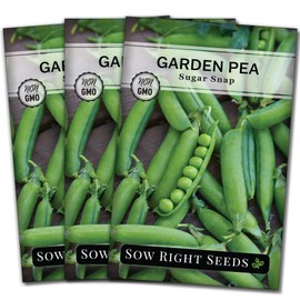 Sow Right Seeds - Sugar Snap Pea Seeds for Planting - Non-GMO Heirloom Packet with Instructions to Plant a Home Vegetable Garden - Grow Tons of Delicious Pods - Cool Season Crop, Super Productive (3)