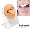 Lips on Tongue Model, Tall Simulated Tongue Model for Piercing
