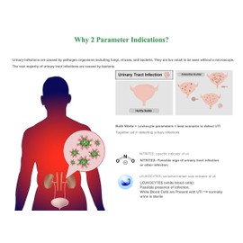 Easy@Home 10 Individual Pouch Urinary Tract Infection FSA Eligible Test Strips, UTI Urine Testing Kit for Urinalysis and Detection of Leukocytes and Nitrites- (UTI-10P)