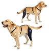 LufeLux Dog Knee Brace with Harness and Connection Belt, Lightweight
