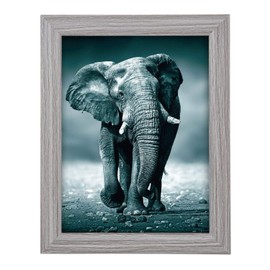 goldbuch 92 0743 Toscana Wooden Picture Frame, Photo Frame for 13 x 18 cm Pictures, Portrait Frame with Stand and Wall Mount, Single Frame Made of MDF, Photo Frame, Grey