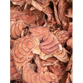 Greenlike Caulis MILLETTIAE(MILLETTIA STEM) 16 OZ 鸡血藤 降血压 补血造血 抗癌