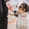 2PCS Dog Clicker, Clickers for Dog Training with Wrist Strap