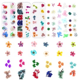 108PCS Dried Flowers for Nail Art - Lovely Natural Flower Nail Art, Nail Art Accessories Kits, Dried Flowers for Resin Molds, YWLI (Dried Flowers*3 boxes)