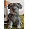 Vivid Arts Pet Pals Miniature Schnauzer Puppy PP-MINS-F