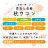 オーガランド 秋ウコン 粉末 100g 沖縄県産 秋ウコンパウダー 秋ウコン粉 国産 栽培期間中農薬不使用