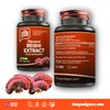 Reishi Mushroom Extract Capsule - 1800mg | Longevity and Improve