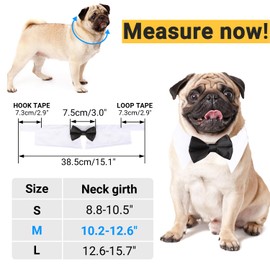 Segarty Black Bow Tie Dog Collar for Neck Girths 10.2-12.6 in, Tux Bowtie with Handcrafted Adjustable White Collar Formal Pet Cats Puppies Necktie for Wedding Birthday Party