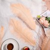 XunYee 100 Pcs Large Natural Ostrich Feathers Plumes Bulk for