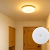 Japanese Quality Ceiling Light, Small, Motion Sensor, Entrance Light, Daylight