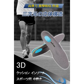 EDTRE Sports Insole, High Elasticity, Shock Absorption, Comfort, Footbed, Standing Work, Cushion, Arch Support, Silica Gel, Heel, Soft, Breathable, Deodorizing, Men's, Women's, (L(26.5 - 28.5), Gray)