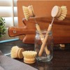 Eco Basics Plastic Free Dish Brush - 22x4x6cm, Bamboo Handle,