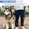 Strong Heavy Duty Dog Leash - 5ft Reflective Nylon Training