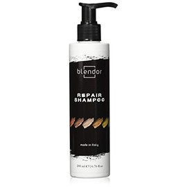 Blendor - Repairing Shampoo for Damaged, Dyed and Treated Hair, 200 ml