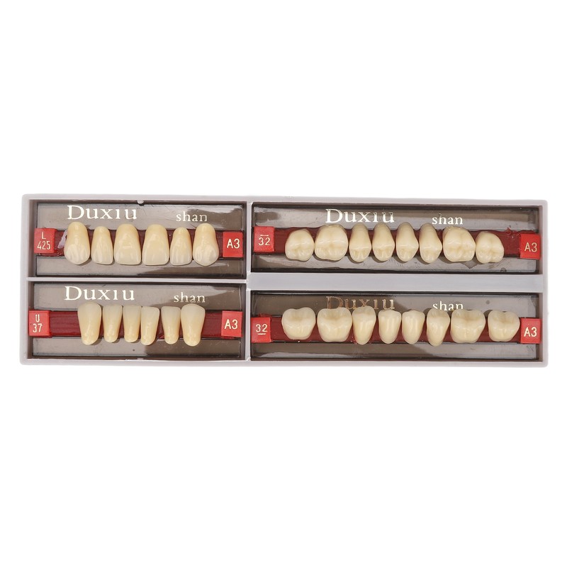 Dental Synthetic Resin Denture Tooth Professional Men Women Shade A3