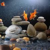 VINICS Large River Rocks for Landscaping 20lbs, 2-3 Inch Natural