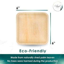 Planet Pantry Disposable 6" Square Palm Leaf Plate Premium Heavy Duty Eco-Friendly Wooden style tableware for party wedding event (25 pc)