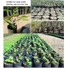 Genérico Bolsas Cultivo de Jardin o vivero Altas (20x30)
