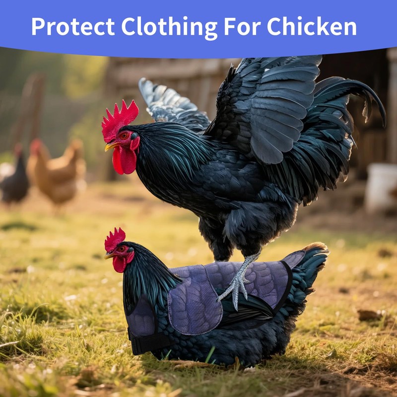 CLYORA Chicken Saddles for hens, Chicken Apron Back Protector for
