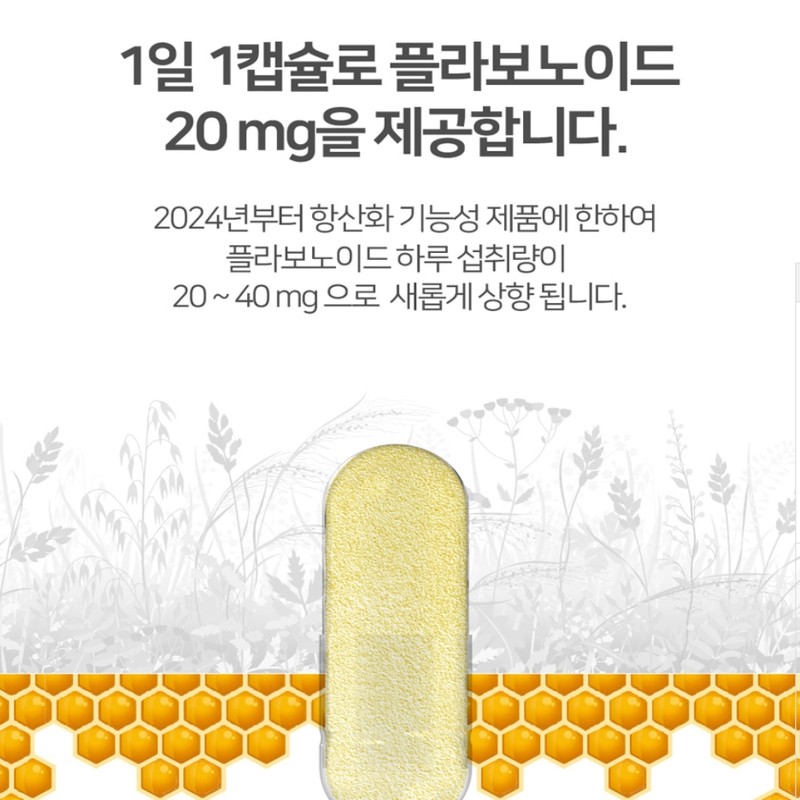 Nature Max Brazilian Green Propolis Zinc C 500mg x 90